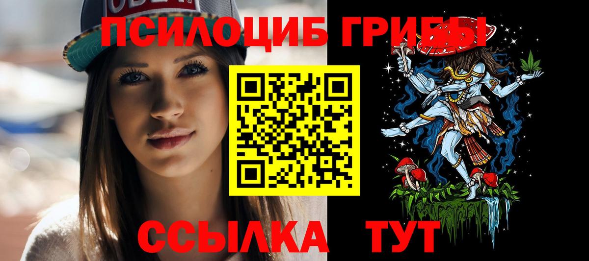 Галлюциногенные грибы прущие грибы Новороссийск