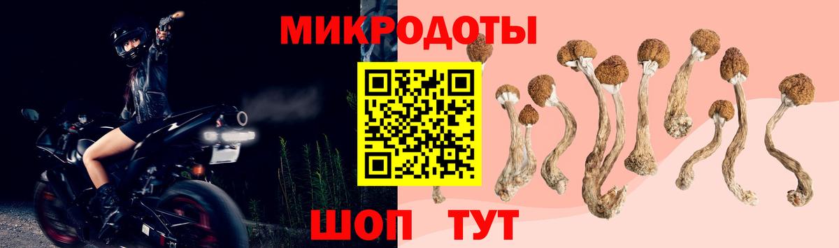 где продают наркотики  Псилоцибиновые грибы Psilocybe  Вход с VPN  Новороссийск 